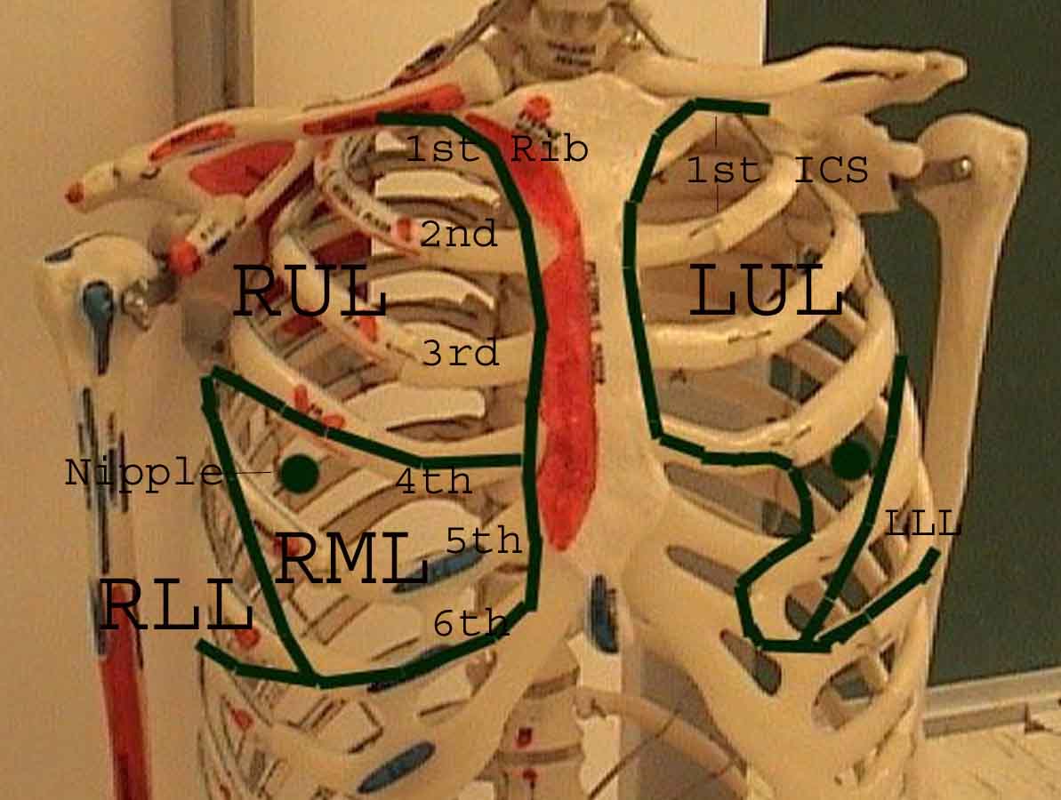 Hướng dẫn thực hành của UC San DiegoHướng dẫn thực hành của UC San Diego  