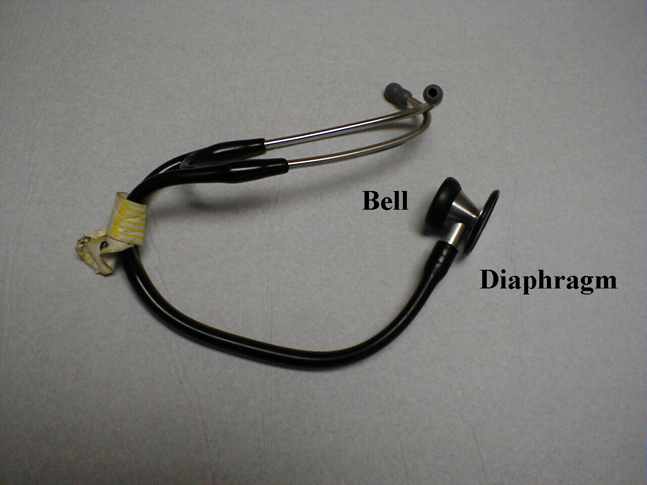 Adult Stethoscope