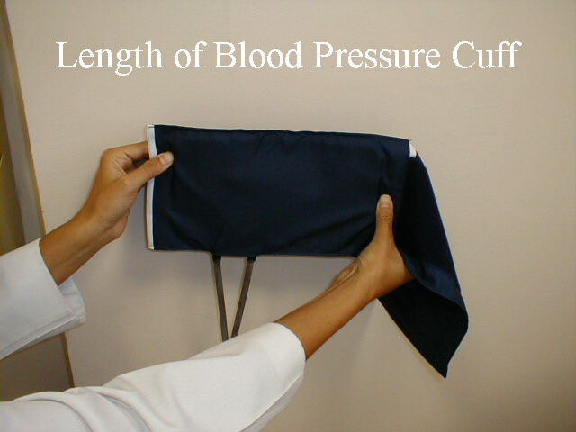 blood pressure cuff bladder